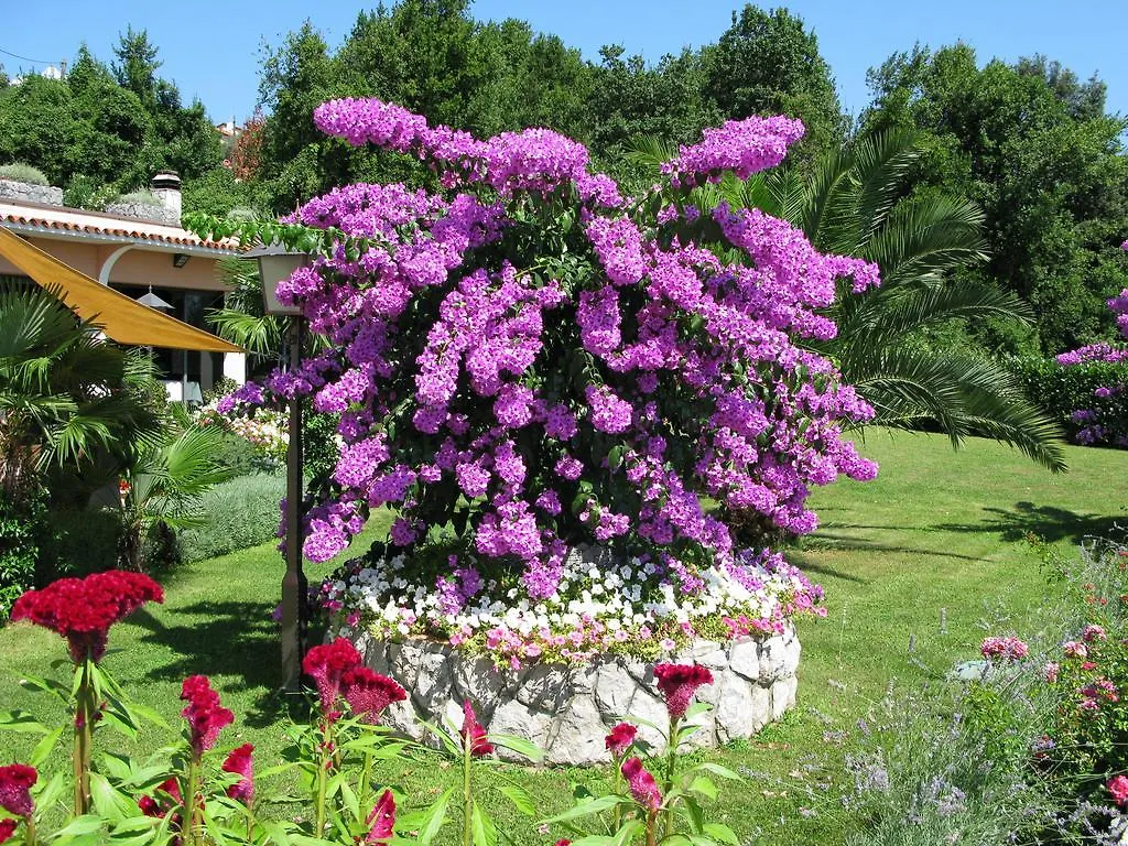 Bed And Breakfast Villa Iris Mošćenička Draga 3*,